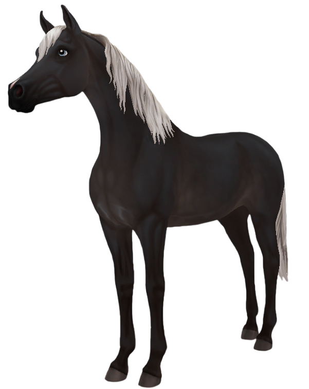 Arabian in Star Stable Online