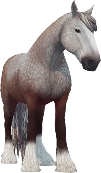 Clydesdale, Dapple Rose Grey