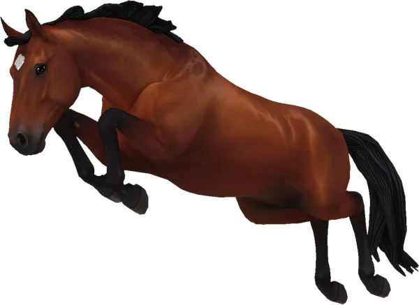 Hanoverian, Cherry Bay