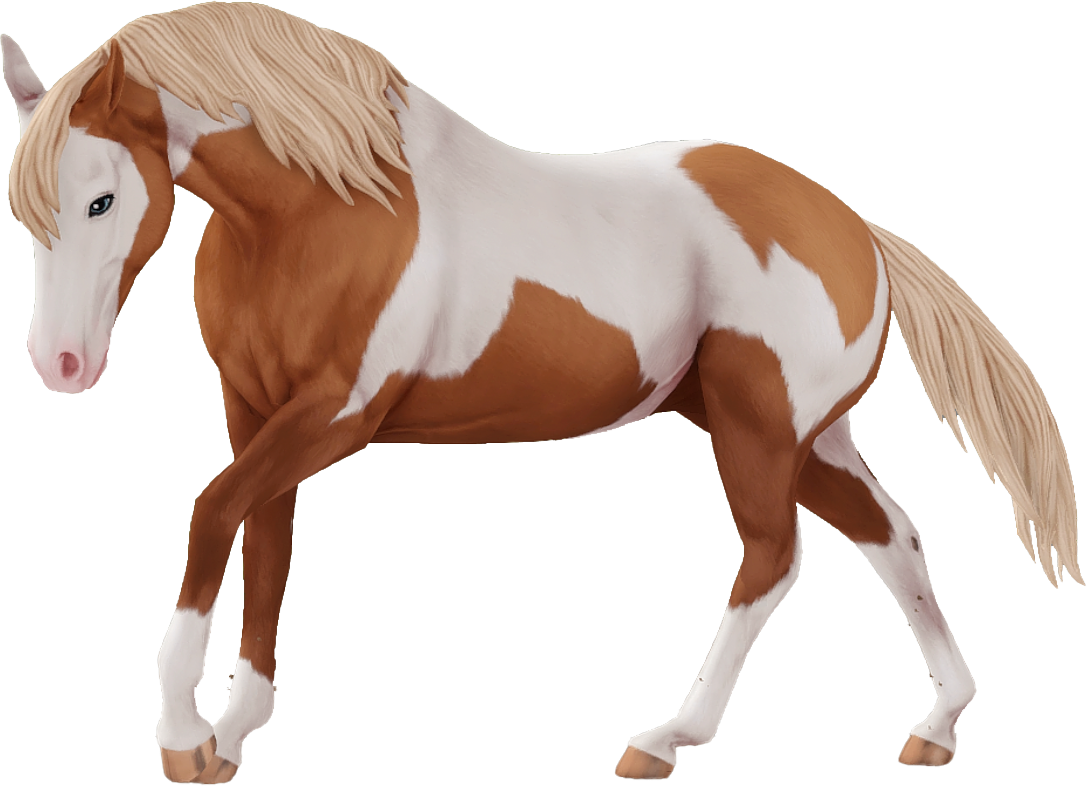 American Paint Horse in Star Stable Online