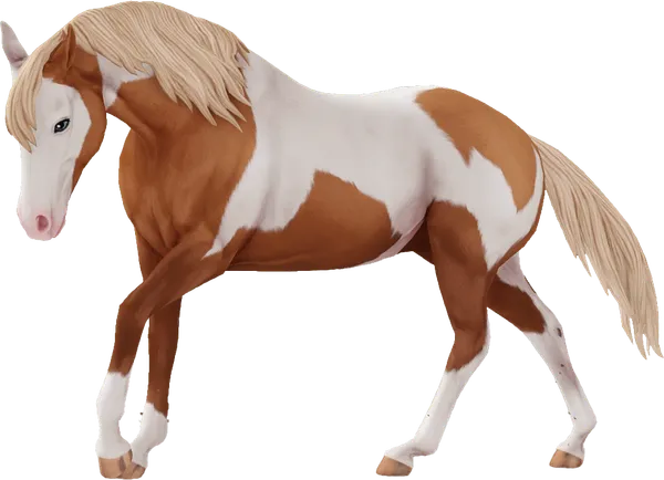American Paint Horse, Flaxen Chestnut Tobiano