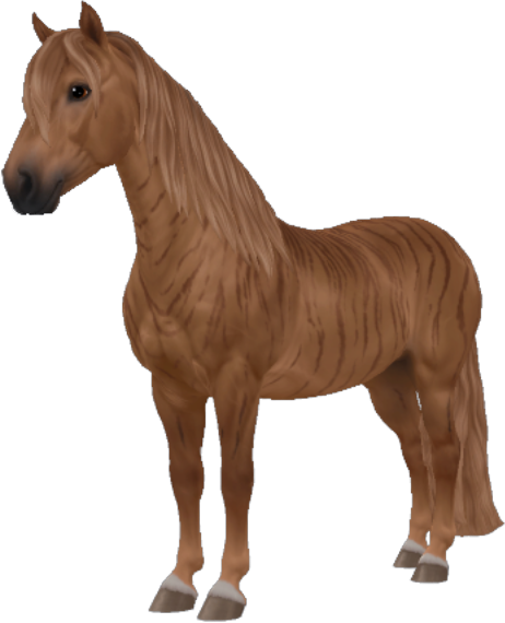 Criollo in Star Stable Online