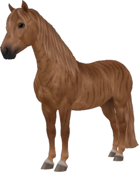 Criollo, Chestnut Brindle