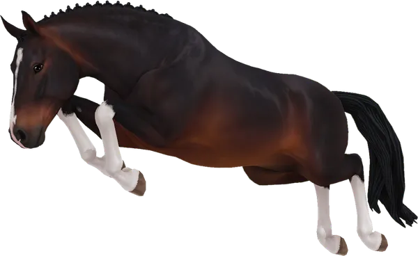 Hanoverian, Seal Bay