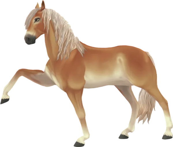 Jorvik Andalusian, Flaxen Chestnut Pangare