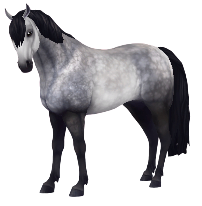 Jorvik Connemara in Star Stable Online