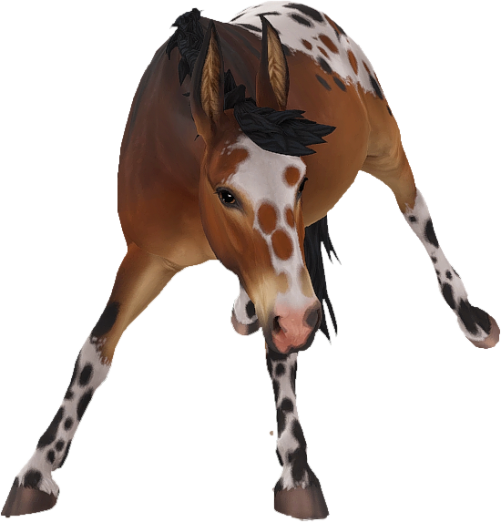 Mule in Star Stable Online