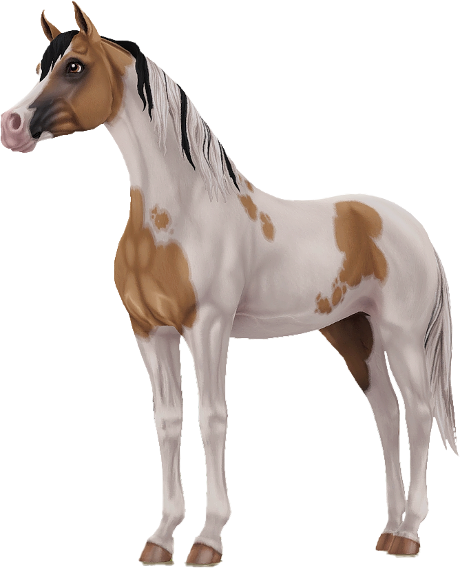 Pintabian in Star Stable Online