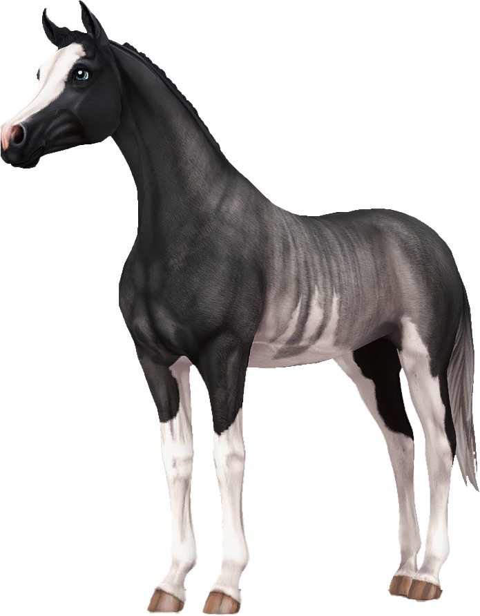 Arabian in Star Stable Online