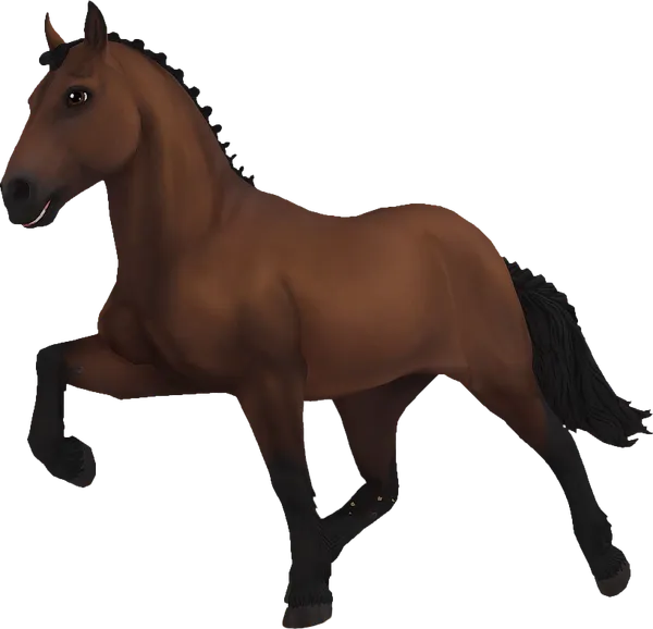 Icelandic Horse, Bay