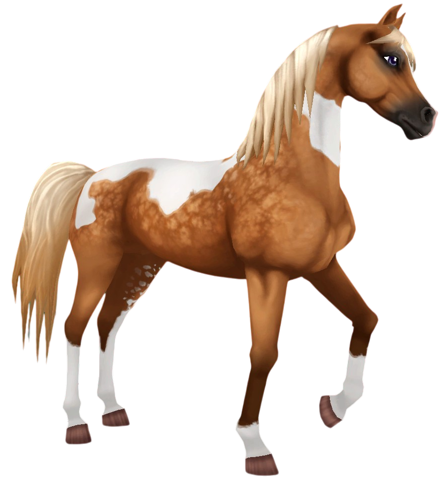 Pintabian in Star Stable Online