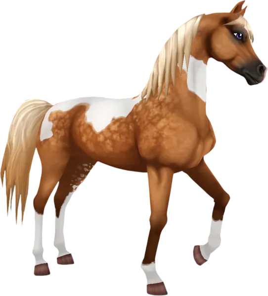 Pintabian, Dapple Palomino Pinto