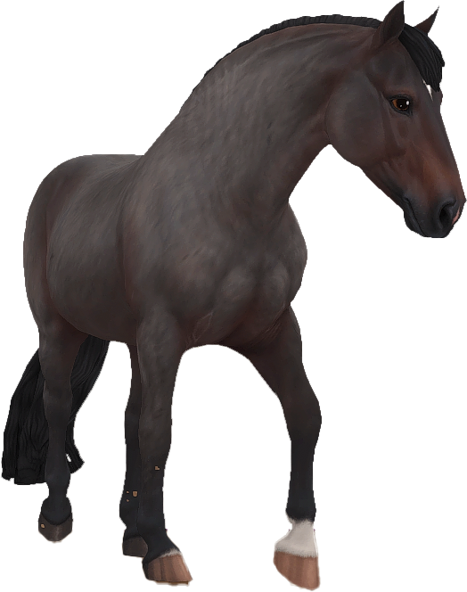 Criollo in Star Stable Online
