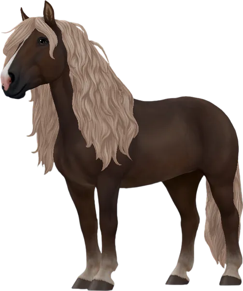 Black Forest Horse, Flaxen Liver Chestnut