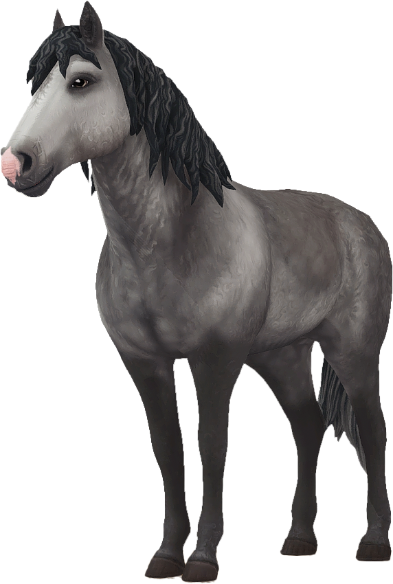 Curly Horse in Star Stable Online