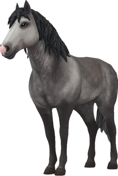Curly Horse, Grey