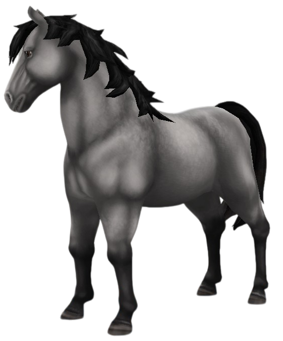 Nixie in Star Stable Online
