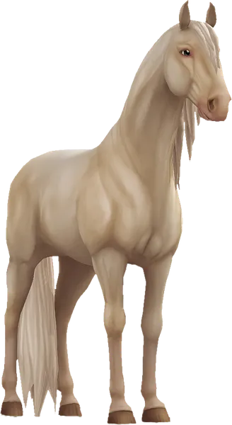 Lusitano, Cremello