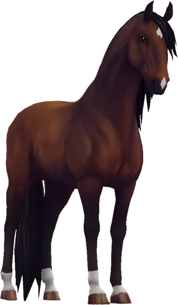 Lusitano, Bay