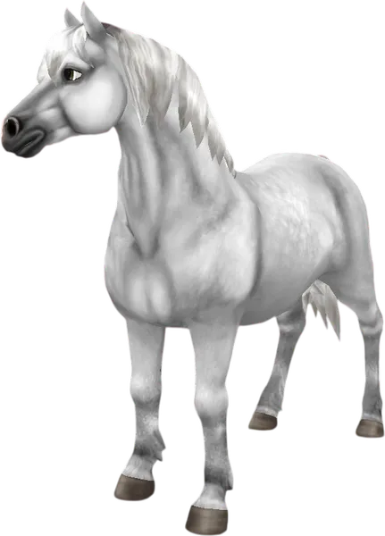 Welsh Pony, Light Dapple Grey