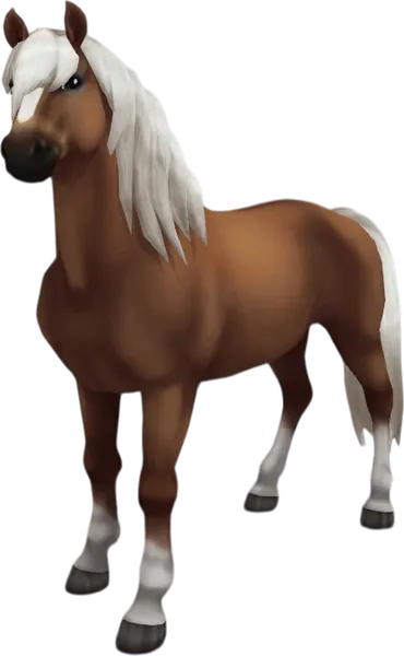 Haflinger, Flaxen Chestnut