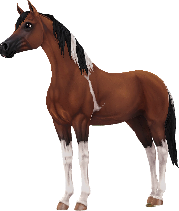 Pintabian in Star Stable Online