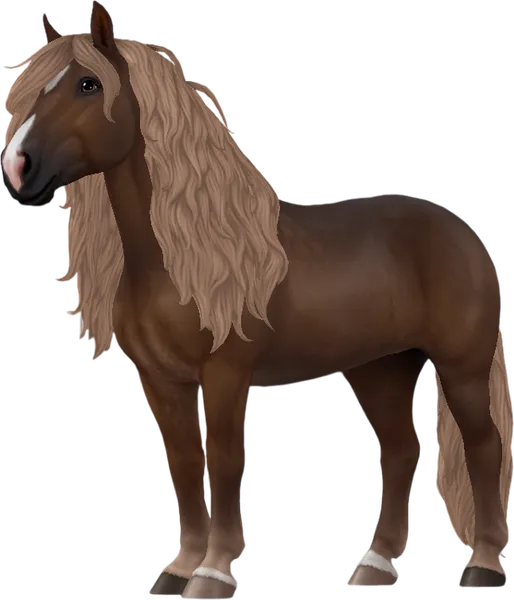 Black Forest Horse, Reverse Dapple Flaxen Liver Chestnut