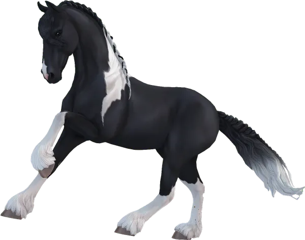 Friesian Sport Horse, Black Tobiano