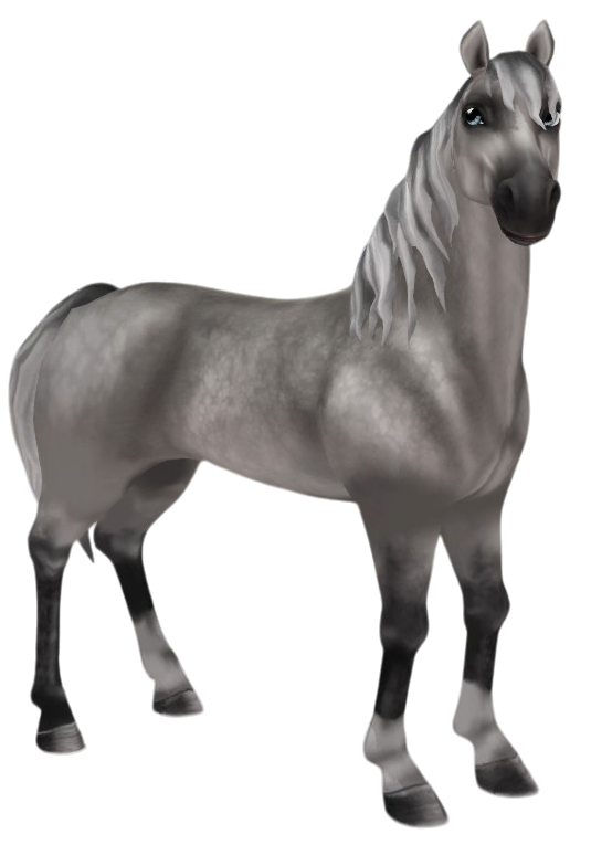 Morgan in Star Stable Online