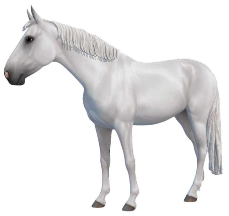 Swedish Warmblood in Star Stable Online