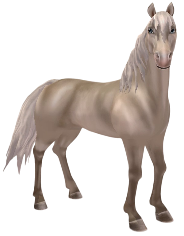 Morgan in Star Stable Online