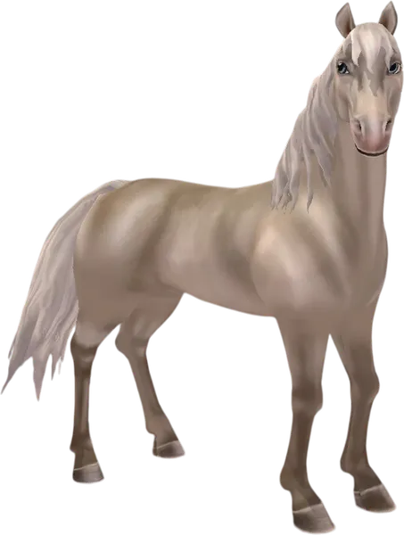 Morgan, Cremello