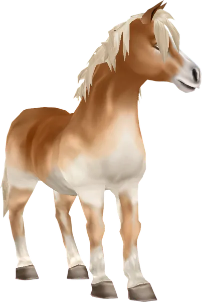 Jorvik Pony, Flaxen Chestnut Pangaré