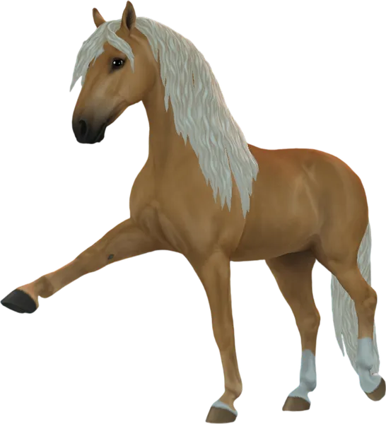 Andalusian, Palomino