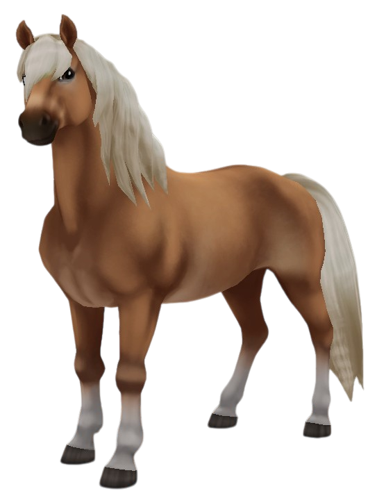 Haflinger in Star Stable Online