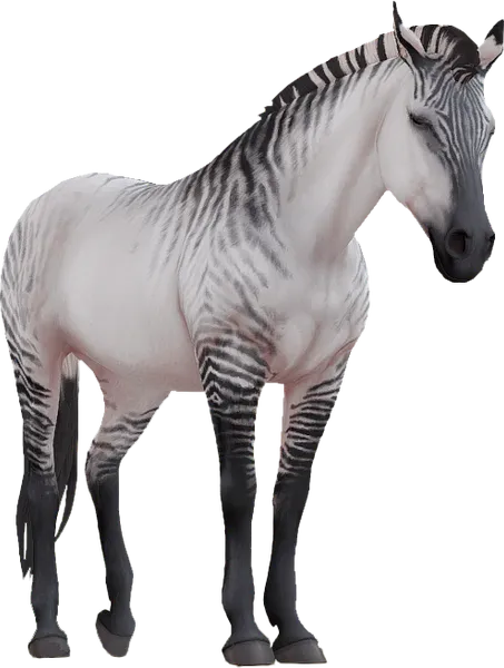 Appaloosa, Grey Striped Dun