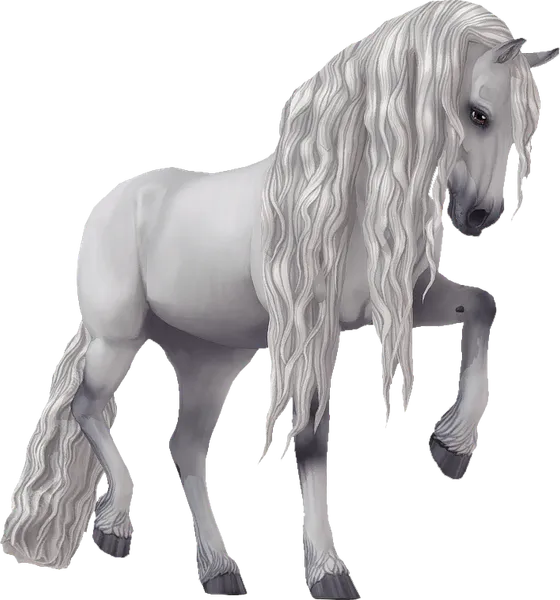 Jorvik Friesian, Grey