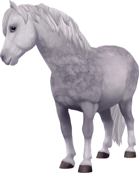 Jorvik Pony, Light Dapple Grey
