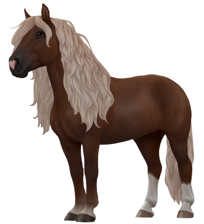 Black Forest Horse in Star Stable Online