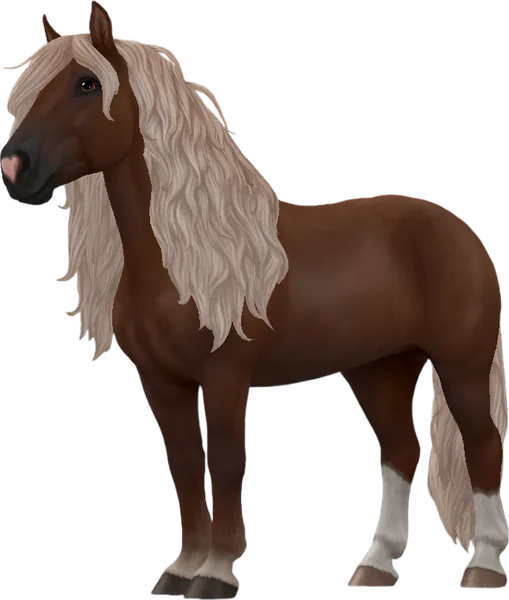 Black Forest Horse, Flaxen Liver Chestnut With Socks