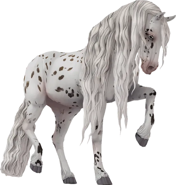 Jorvik Friesian, Bay Leopard