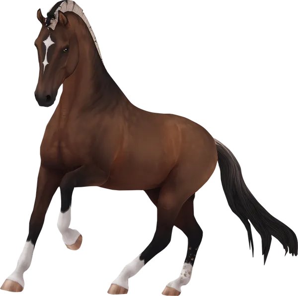 Dutch Warmblood, Bay Dun