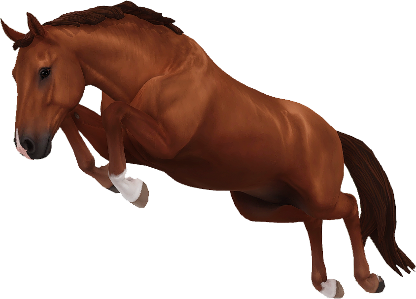 Hanoverian in Star Stable Online