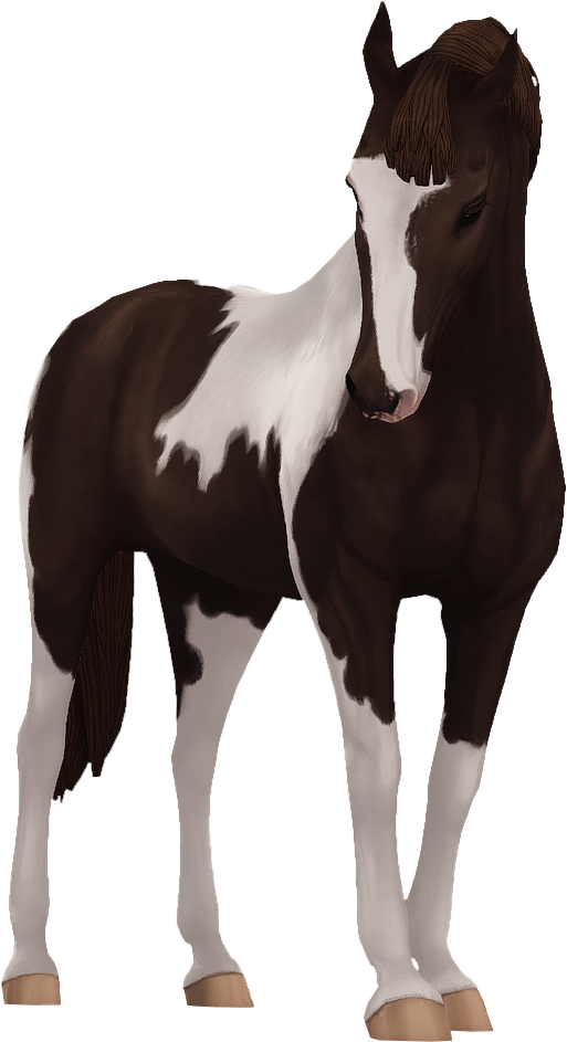 Belgian Warmblood in Star Stable Online