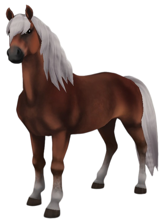 Haflinger in Star Stable Online