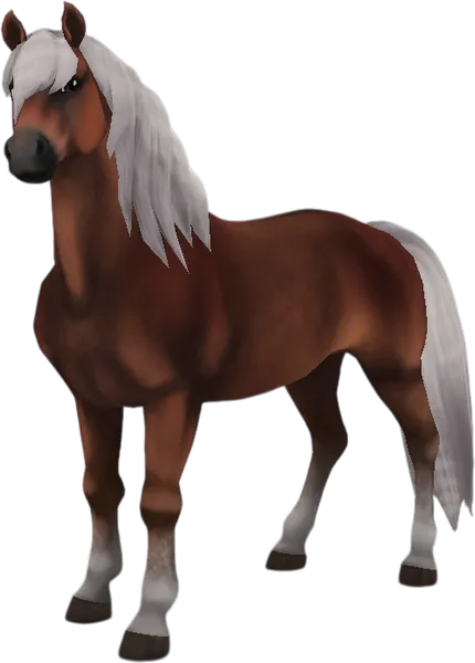 Haflinger, Dapple Liver Flaxen Chestnut