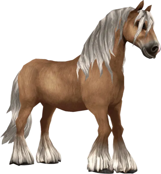 North Swedish Horse, Palomino