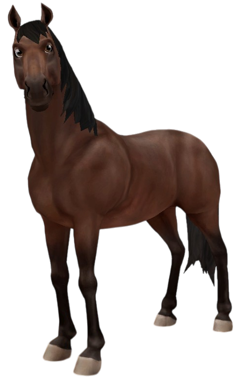 Dutch Warmblood in Star Stable Online