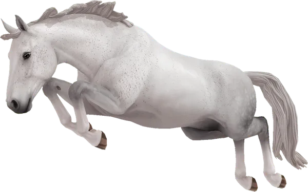 Hanoverian, Light Grey