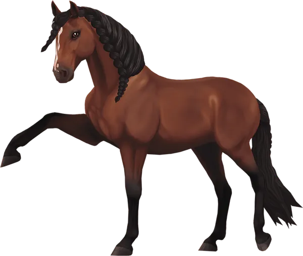 Jorvik Andalusian, Bay